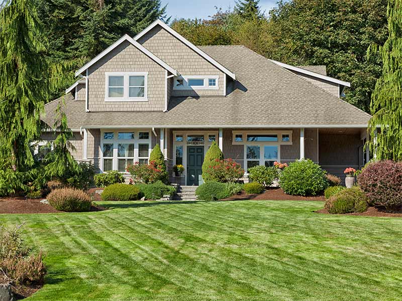 Landscaping.